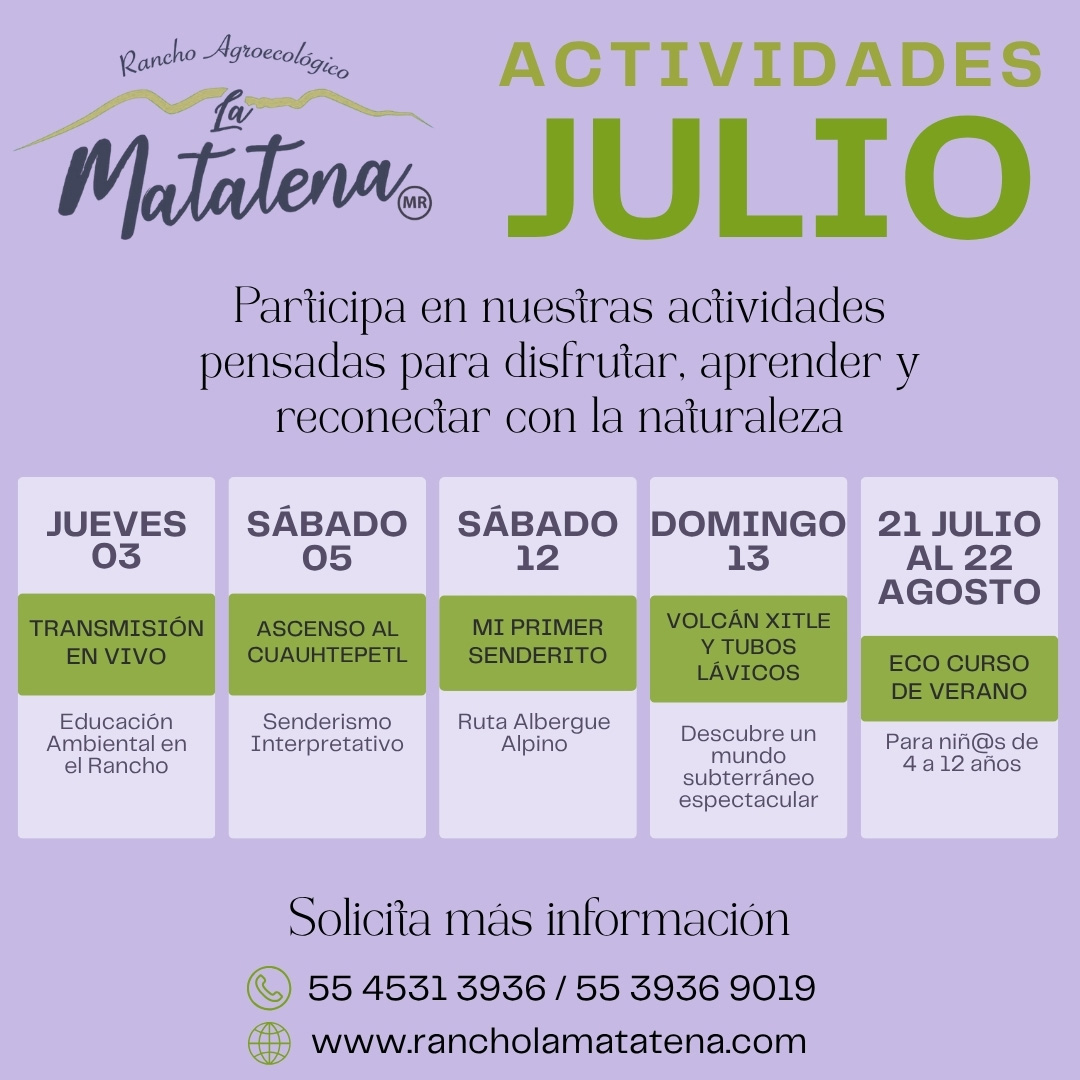 Calendario de actividades